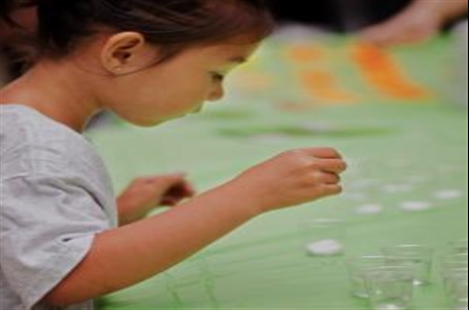 Chamelea Science & Fun Center