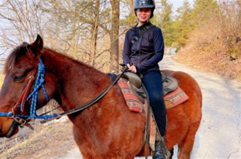 Top View Riding Ranch