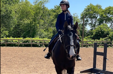 Chestnut Bay Equestrian