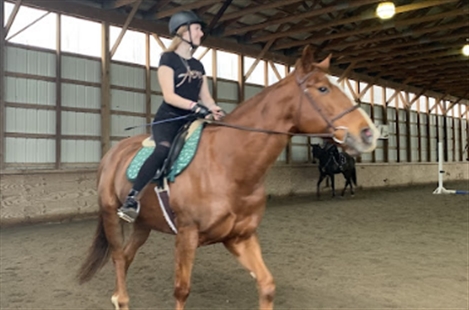 Saddle Ridge Riding Center
