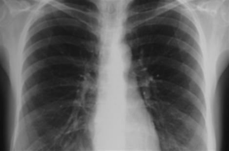 Dr. Mehrdad Hajmomenian