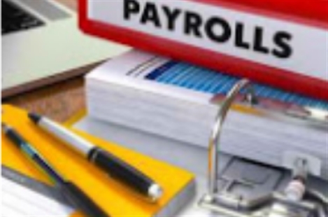 Parsian Accounting, Payroll