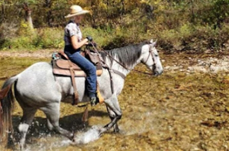 Brushy Creek Lodge & Resort