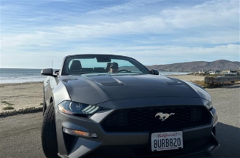Budget Car Rental