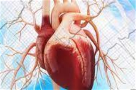 Dr. Afsaneh Pourdowlat