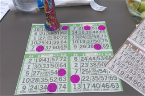 The Bingo Club