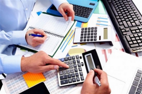 The Tax Consultancy Group Inc