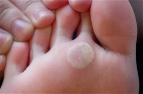 Dr. Ali Rahnama Vaghef