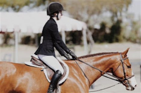 Vero Beach Equestrian Club