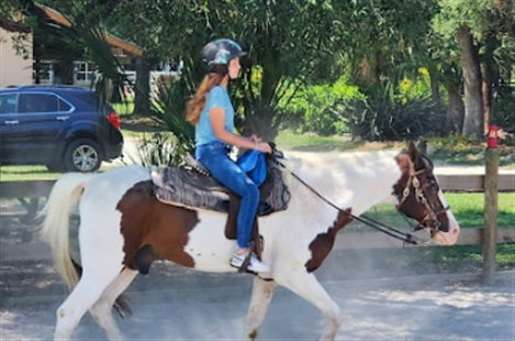Redland Equestrian Center