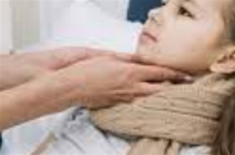 Dr Elika Safar Zadeh