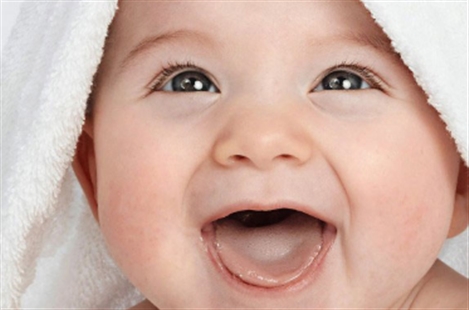 Dr. Nika Alavi-Tabari