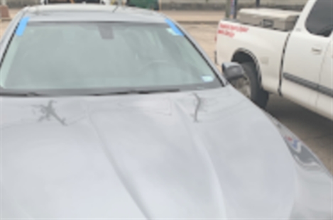 Blue Diamond Auto Glass