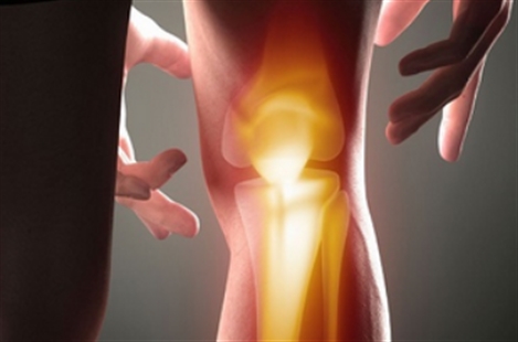 Dr. Faranak Mohammad Pour