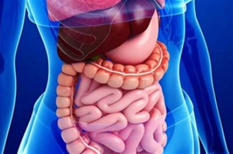 Dr Helaleh Saber Hamishegi