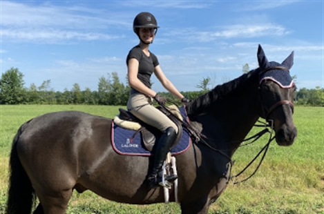 Wynbrook Equestrian Centre