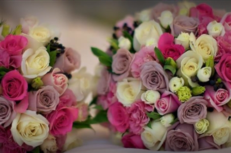 Bayview Fancy Flowers