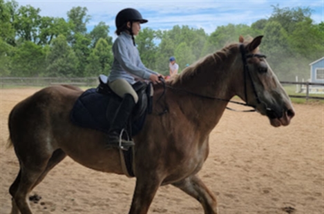 Woodland Horse Center