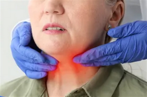 Dr Pardis Malakzadeh-Shirvani