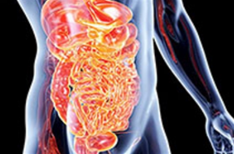 Dr Parisa Rahimi Darabad