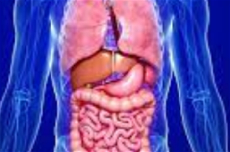 Dr Roshan Shafai-Sarshar