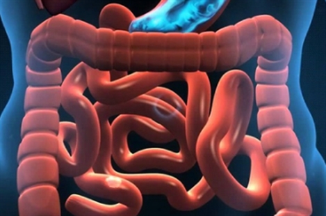 Dr. Seyed Ehsan Navabi