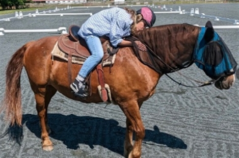Holly Ridge Farm Equestrian Center