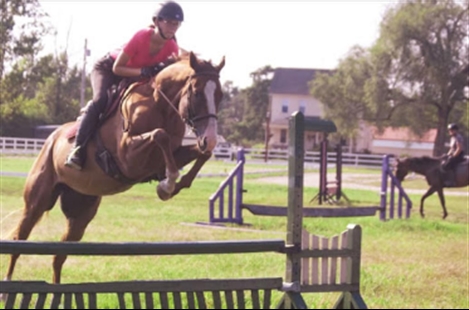 Split Elm Equestrian Center