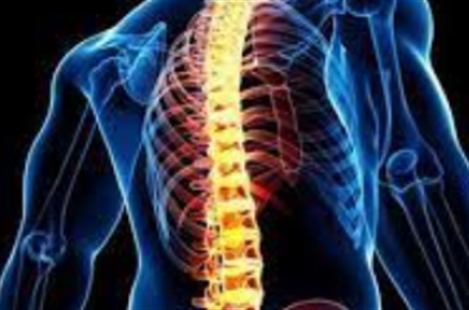 Dr Mohammad Taghi Ghazavi