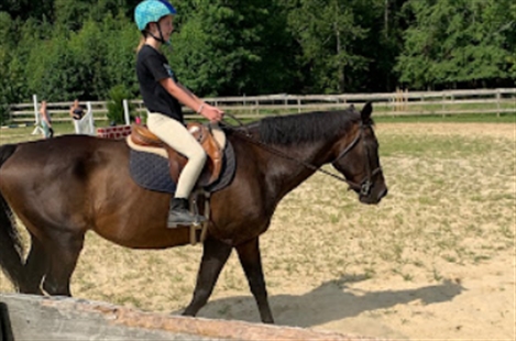 Hunter Brook Horse Farm Inc