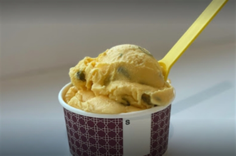 Gol o Bolbol Ice Cream