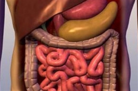 Dr. Foozhan Farahmand