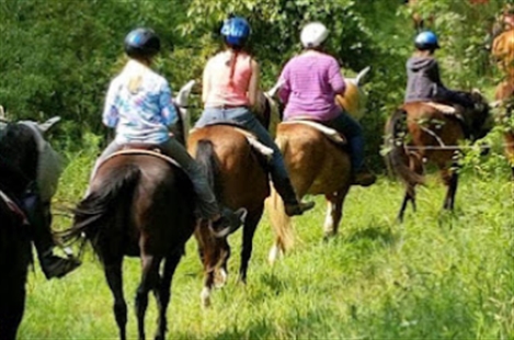 Horse 'N Around Stables