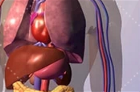 Dr. Darvish Maurice