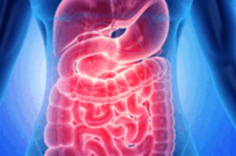 Dr Golsa Sheykholeslami