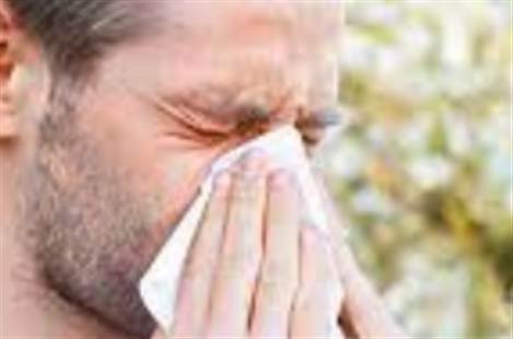 Dr. Nazanin Montazeri