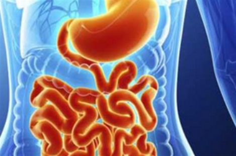 Dr Faranak Fakhkharian