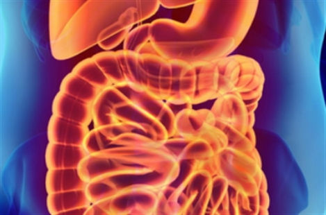 Dr. Alexander G. Nazem