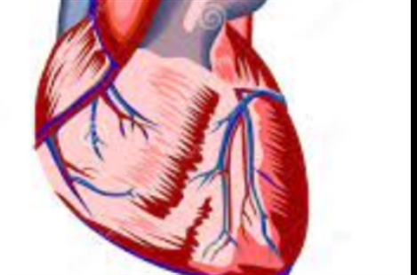 Dr. Seyed-Mojtaba Gashti