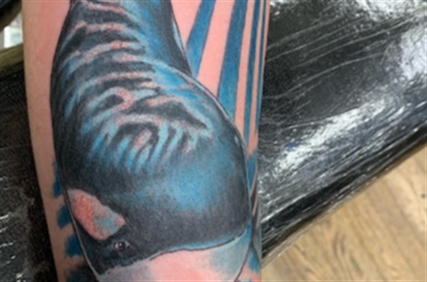 Rising Dragon Tattoos, NYC