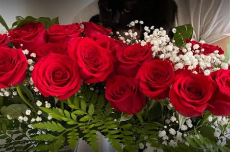 Rita Fleuriste Montréal