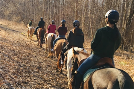 Pathways on Pleasure Valley