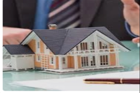 Ms. Forough Heidari Morad