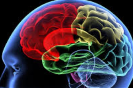 Dr Pejman Jabehdar Maralani