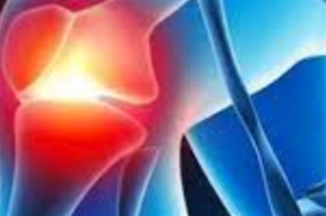 Dr. Seyed Hamid Nourhosseini