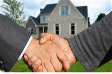 Mr Milad Gheshmy Bakht