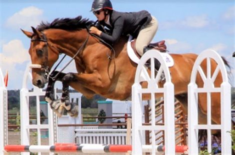 Blackjack Lane Equestrian