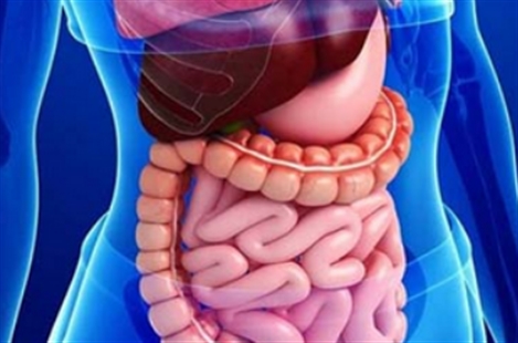 Dr Seyed Mojtaba Ghafouri