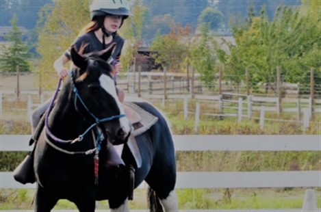 Horseshu Ranch Feed & Supply