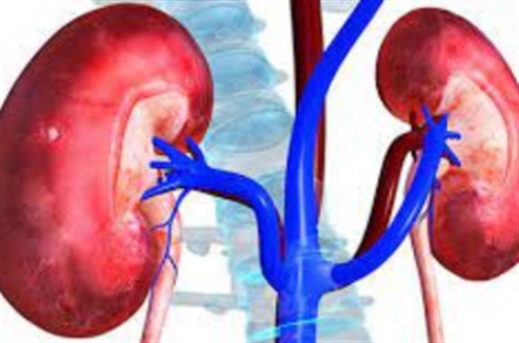 Dr. Ehsan Nobakht Haghighi